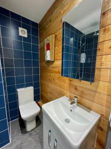 La salle de bains est pourvue de toilettes, d'un lavabo et d'un miroir. dans l'établissement Kittiwake Number 4A - Town Centre Ground Floor, à Bridlington