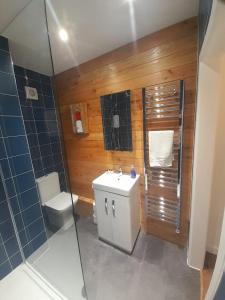 La salle de bains est pourvue de toilettes, d'un lavabo et d'une douche. dans l'établissement Kittiwake Number 4A - Town Centre Ground Floor, à Bridlington