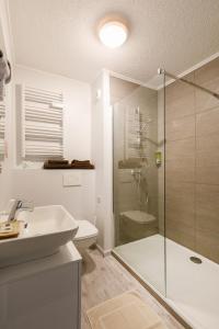 a bathroom with a shower and a toilet and a sink at Hôtel de l'Étoile in Antibes