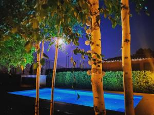 a row of trees in front of a swimming pool at night at Hotel Calitxo in Molló