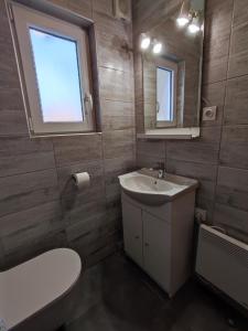 La salle de bains est pourvue d'un lavabo, de toilettes et d'un miroir. dans l'établissement Zidanica-Vineyard Cottage Jakše, à Semič