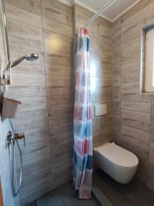 La salle de bains est pourvue d'un rideau de douche et de toilettes. dans l'établissement Zidanica-Vineyard Cottage Jakše, à Semič