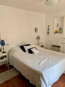 Posteľ alebo postele v izbe v ubytovaní Nice 120 M Cosy With Garden Terrace And Paillote