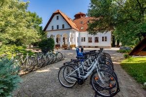 Rowery dostępne w obiekcie Conacul Secuiesc-Székelykő Kúria lub w pobliżu