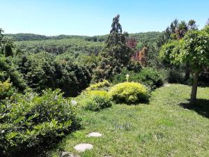 Blick auf einen Garten mit Bäumen und Sträuchern in der Unterkunft Forrás-hegyi Apartman in Felsőörs