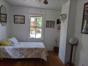 Schlafzimmer mit einem Bett und einem Fenster in der Unterkunft Historic UVA Apartment - near the corner in Charlottesville