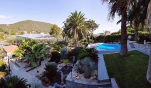 a garden with palm trees and a swimming pool at Monica's Tropical Villa in Iraklitsa