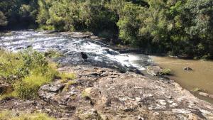 un uccello che si erge sul bordo di un fiume di Casa de Campo da Vó a Urupema