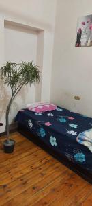 Postel nebo postele na pokoji v ubytování New Safari Hostel
