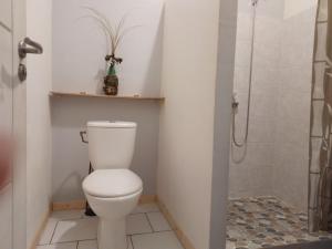 a bathroom with a toilet and a shower at Chez Laeti et Mano in Hakamui