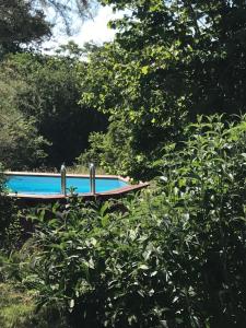 une piscine au milieu de quelques arbres dans l'établissement Le Gite du Petit Renard: A Tranquil Gite with pool, à Oradour-Saint-Genest