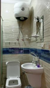 La salle de bains est pourvue de toilettes et d'un lavabo. dans l'établissement Giza Pyramids View Guest house, au Caire