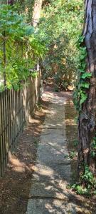 a path in a park with a fence and a tree at La Casa del mare in Rosolina Mare