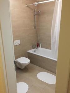 een badkamer met een toilet, een bad en een wastafel bij Apartments Aarbergergasse in Bern