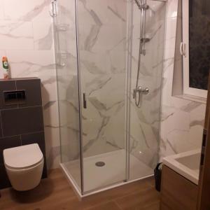 a shower with a glass door in a bathroom at Domek z widokiem in Istebna