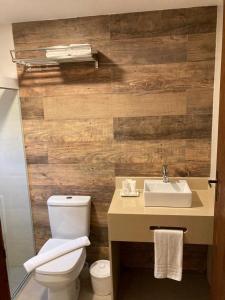 a bathroom with a white toilet and a sink at Pousada Renovo da Serra in São Pedro da Serra