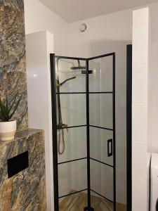 Kúpeľňa v ubytovaní Apartament ZŁOTE TARASY