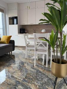 Kuchyňa alebo kuchynka v ubytovaní Apartament ZŁOTE TARASY