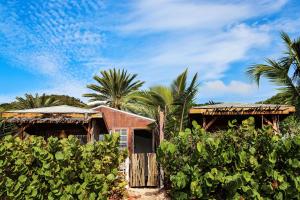 Zahrada ubytování Conch Beach Cabins