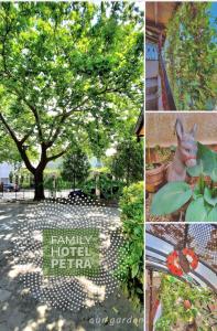 A garden outside Petra Hotel