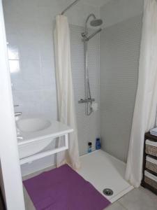 的住宿－Les amoureux，浴室配有白色水槽和淋浴。