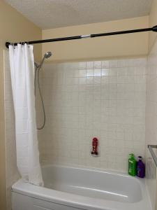y baño con bañera y cortina de ducha. en MT Pleasant NW 2 bedrooms Suite 500AB, en Calgary