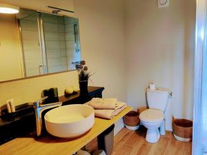 een badkamer met een grote wastafel en een toilet bij Ferme de Chamonal in Marboz