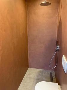 bagno con servizi igienici e parete di Guest room with terrace at the Wadden Sea a Oosterend Altre 4 foto