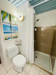 a bathroom with a toilet and a shower at Studio Hina - Cosy, Quiet & Pool in Papeete