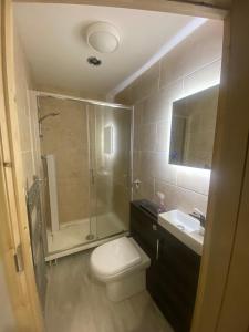 a bathroom with a shower and a toilet and a sink at The perfect stay, 2 bedroom, great location. 