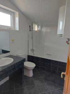 La salle de bains est pourvue d'une douche, de toilettes et d'un lavabo. dans l'établissement Apartment SKI-BIKE-HIKE, Vyšné Ružbachy, à Vyšné Ružbachy