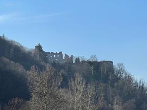 a castle on top of a hill with trees at Apartmani "Stari Grad - Samobor" in Samobor