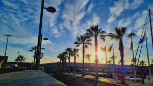 a group of palm trees on a street with the sunset at Las Inglesitas in Los Llanos de Aridane