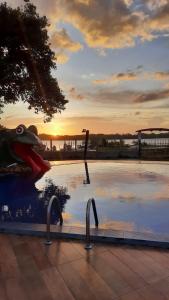 ein Schwimmbad mit einem Frosch nebenbei in der Unterkunft Pousada Marajoara- Hotel Fazenda-Turismo de Aventura in Soure