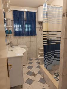 een badkamer met een wastafel, een toilet en een douche bij Apartments Ita - Postira in Postira
