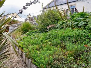 a garden in front of a house at Ocean View in Port William