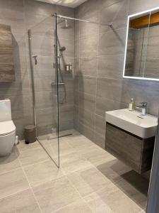 uma casa de banho com um chuveiro, um lavatório e um WC. em Yorkshire Dales Lodge 18 Premium Family em Richmond
