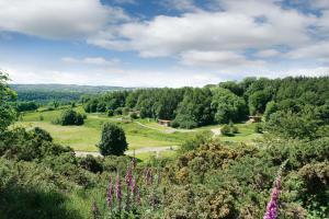 uma vista para um campo com árvores e uma estrada em Yorkshire Dales Lodge 18 Premium Family em Richmond