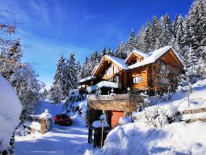 Chalet Caprea durante el invierno