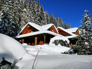 ein von Schnee bedecktes Blockhaus vor Bäumen in der Unterkunft Chalet Caprea in Bad Kleinkirchheim