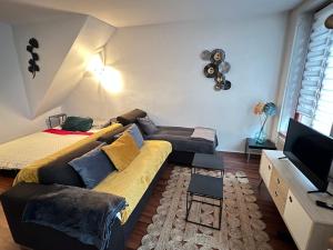 uma sala de estar com um sofá e uma televisão em Lac de Briey Appartement Spacieux Un-Séjour-à-Part em Briey