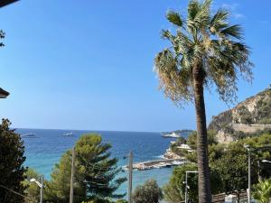 a palm tree in front of the ocean at Ezevacances Studio Capuccino vue mer 5 mn plage 7 mn gare Wifi in Èze