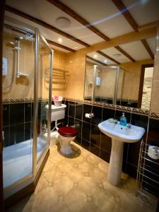 a bathroom with a shower and a toilet and a sink at Seven Stars Inn in Builth Wells