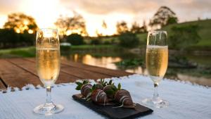 two glasses of champagne and a plate of food on a table at Mt Hay Retreat in Berry