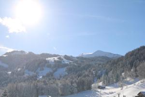 a view of a mountain with snow and trees at Hotel & Restaurant Diana in Grodoey