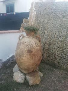 a large vase with a plant in it next to a fence at Villetta a schiera nei pressi del mare in Livorno