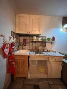 a small kitchen with wooden cabinets and a sink at Appartamento-Grangesises in Grange Sises