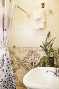 a bathroom with a sink and a shower curtain at Colina Verde in Samaipata