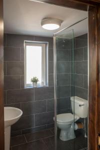 a bathroom with a toilet and a sink at Paddy Carrolls Cottage in Ballyconneely