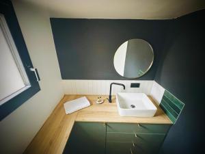 ein Bad mit einem Waschbecken und einem Spiegel in der Unterkunft La vie en Grange, la Loire et les châteaux in Dhuizon